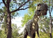 Ternyata Nenek Moyang T-rex Berasal dari Asia, Berikut Faktanya