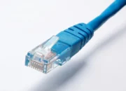 Jangan Salah Pilih! Ternyata Kabel Ethernet Ada Banyak Jenisnya