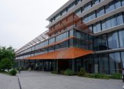 Perusahaan Jack Ma Siapkan Chip AI untuk Tandingi Amerika